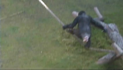 Sally Walks Up A Rope