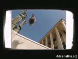 Adrenaline Teaser mondial auto art du déplacement/parkour