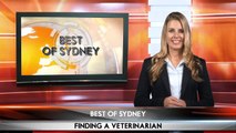 Liverpool Vet Hospital - Tips on finding the right vet