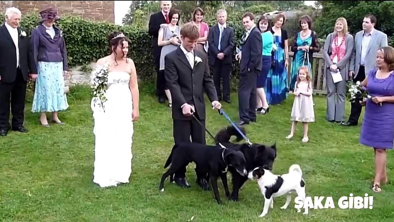 İnanılmaz Komik Kazalar 2015 (Funny Fail Videos 2015) | ŞAKA YAPTIK