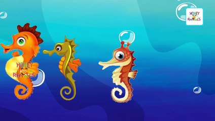 Cartoon Sea Horse Finger Family Nursery Rhyme | Sea Horse Daddy Finger Family Rhymes for C