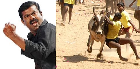ஜல்லிக்கட்டு தடை - சீமான் ஊடக நேர்காணல் | 21 டிசம் 2015 | Seeman Press Interview on Jallikattu Ban | 21 December 2015