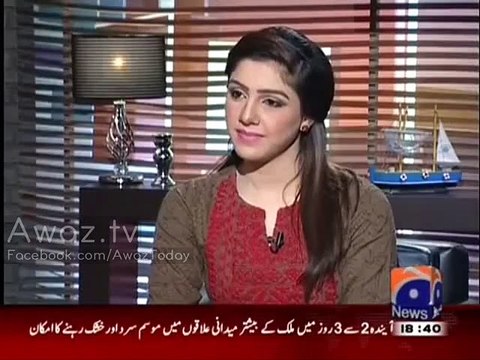 Hassan Nisar bashes people who says army is to only protect borders