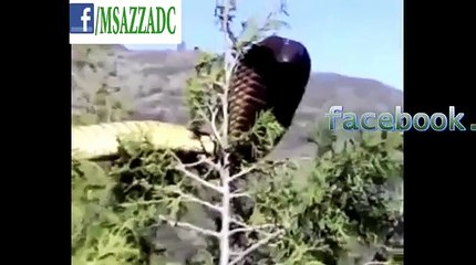 ভয় পাবেন না । একটু চিন্তা করুন