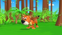 TuTiTu Animals | Animal Toys and Songs for Children | Tiger