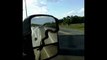 Snake Catches A Ride On Truck's Side Mirror - Funny Animals Channel