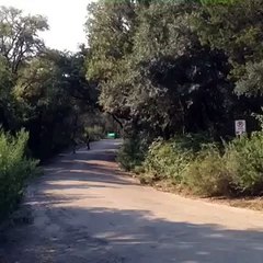 سقوط عنيف لفتاة على لوح تزلج