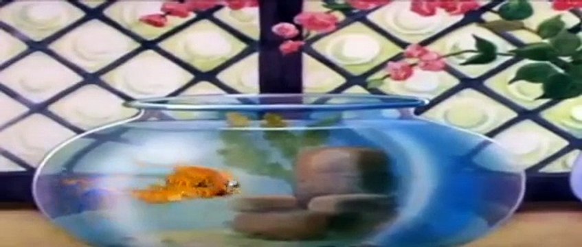 Desenhos clássicos antigos dublados, anos 30 40 e 50, O Peixinho dourado