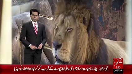 Africi Sher Ki Nasal Napaid Hony Ka Khtra – 22 Dec 15 - 92 News HD