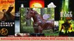 Read  Outer Banks Wild Volume III A Winged Horse Extravaganza Pictorial Outer Banks Wild EBooks Online