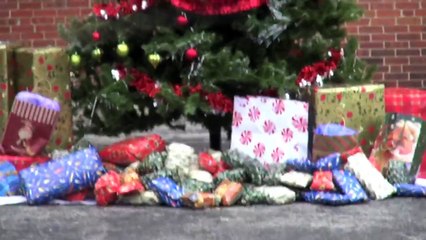 Un SDF dort sur un banc, quand il se réveille, il n'en croit pas ce qu'il voit à ses pieds
