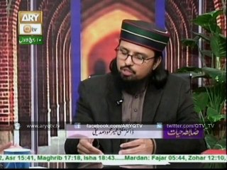 Hazoor (P.B.U.H) Ki Shajrai Nasab Par Aham Malomat