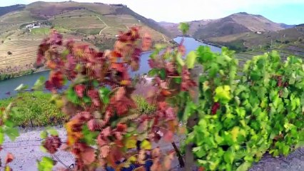 Tv Globo Brasil - Globo Repórter -  Portugal Estrada Das Águas Full HD 1080P
