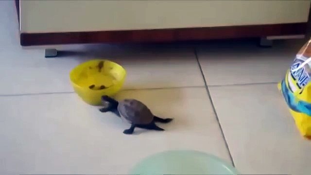 Пока их никто не видит)