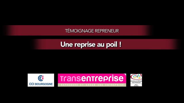 Une reprise au poil ! Cécile Poisot - Collonges-les-Bévy - Pension Chiens & et Chats