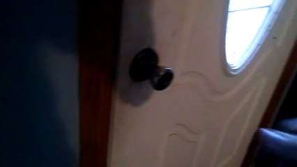 Why You Don't Feed Neighbor's Cats