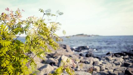 Unravel - Bande-annonce "Exploring the Environments"