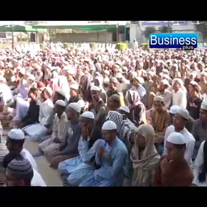 saeedi