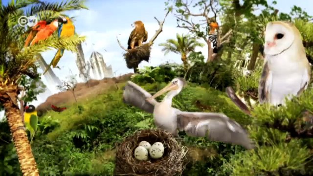 Umweltschutz nach der Krise - Indawgyi-See | Global 3000