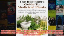 The Beginners Guide to Medicinal Plants Everything You Need to Know About the Healing