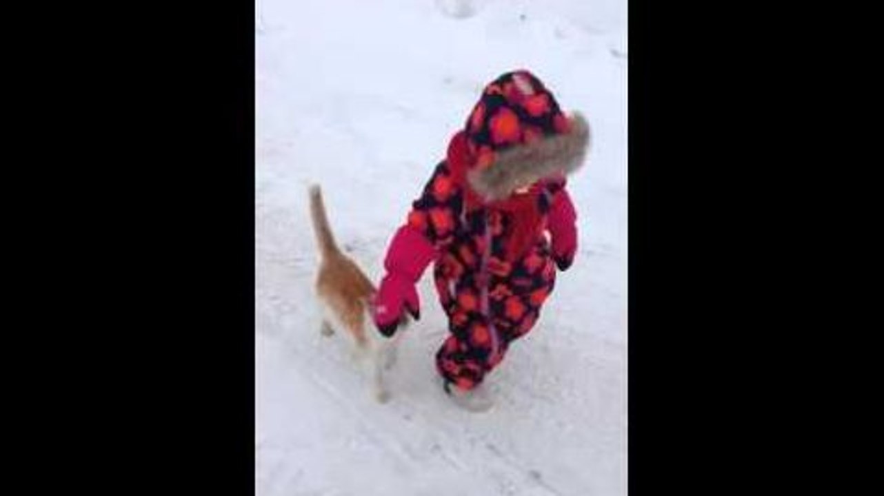 Un chat fait du catch avec une petite fille