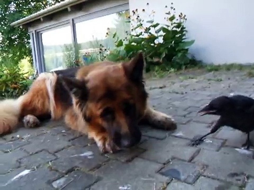 playing ball....