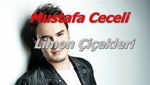 Mustafa Ceceli - Sevilen Şarkılar