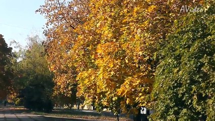 Октябрь. Краматорск