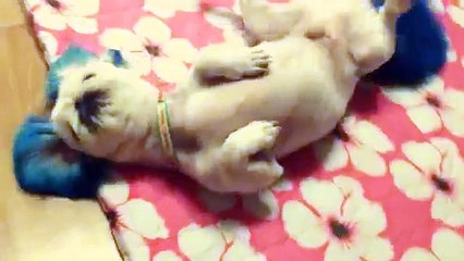 수원마사지【MT】OlO⇒4867⇒7582수원출장안마,출장서비스)(수원출장마사지,미인출장 안마케어