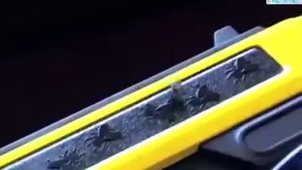 Sinek Öldürmek İçin Tasarlanan Tüfek