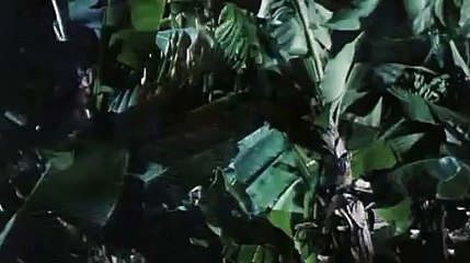 【신논현휴게텔】OP―udaiso02.cＯm―동탄휴게텔―평촌오피∏강남휴게텔