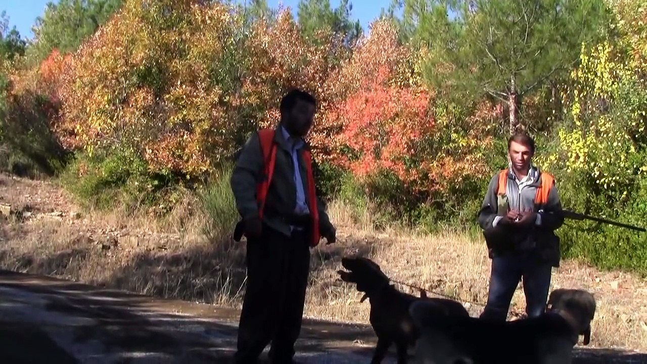 Kadirli Avcıları Domuz Avı ( 4 )