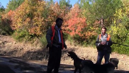 Kadirli Avcıları Domuz Avı ( 4 )