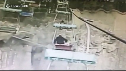 Man falls off chairlift into tiger enclosure and is rescued by zoo workers