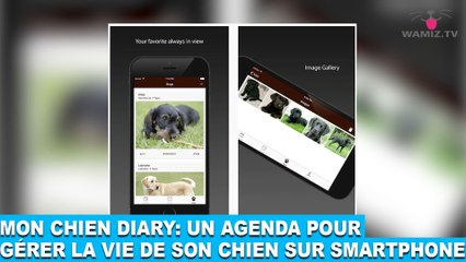Mon chien diary: un agenda pour gérer la vie de son chien sur smartphone! À découvrir dans la minute chien #81