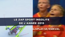 Le zap sport insolite de l'année 2015 (RETRO)
