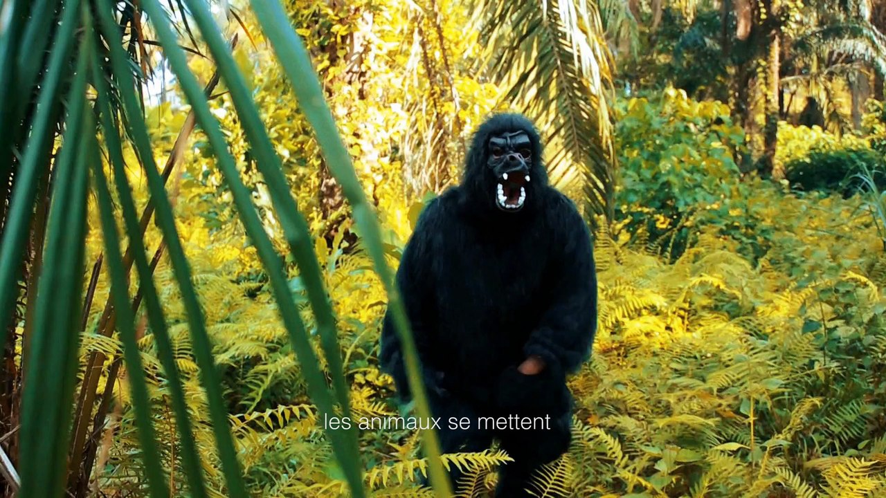 Chorale " Les animaux ensemble pour éduquer les humains" Toutes les races et réligions unies.