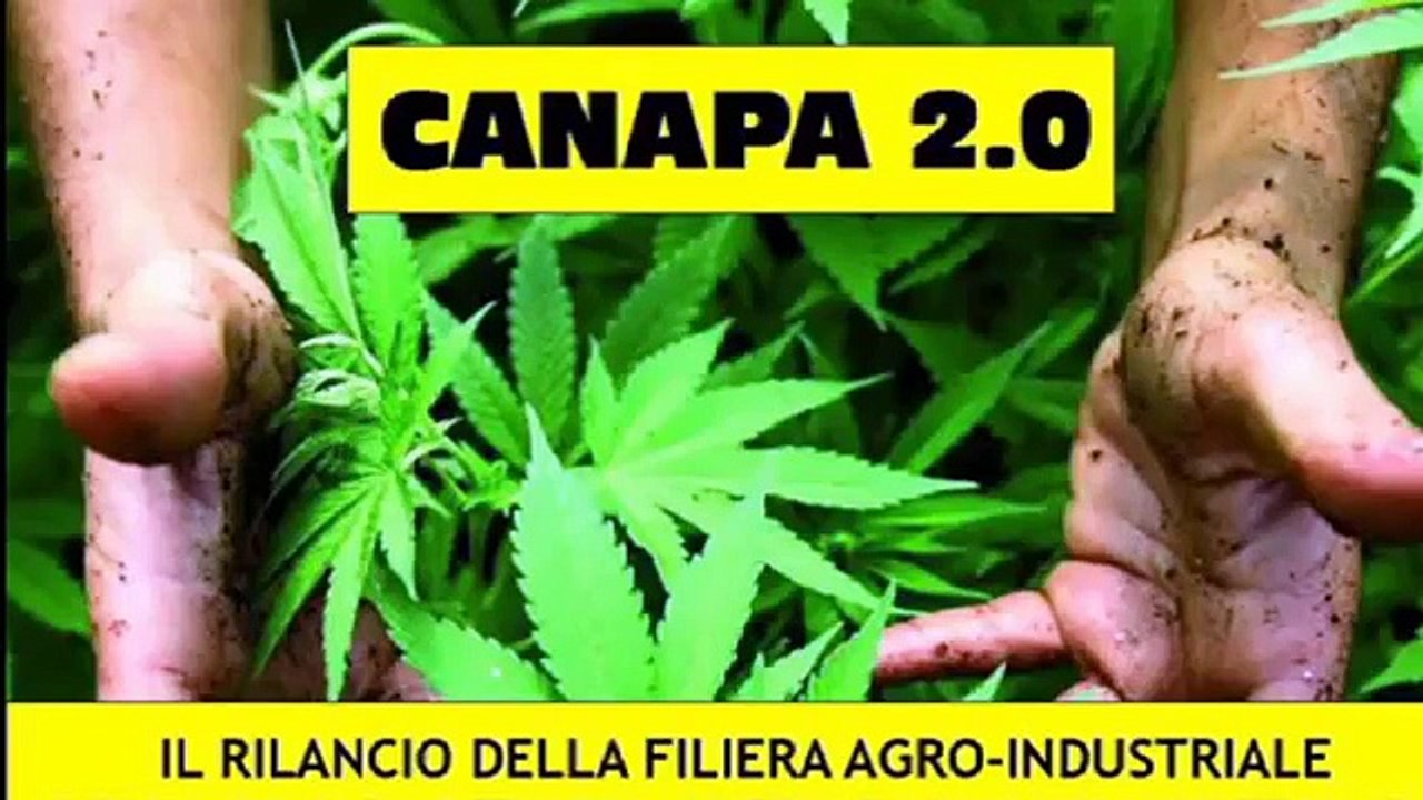 "Canapa 2.0": incontro su rilancio della filiera agro-industriale della canapa