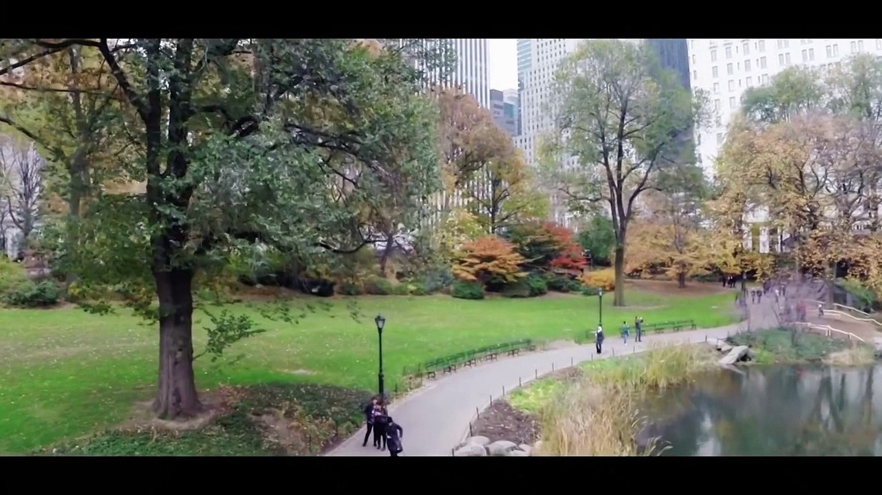 Émigre [Hajar] - Sirin Hamsho - [Film]