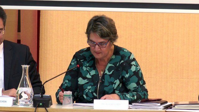 2. Subvention Amicale Laïque de Bouaye - Arbre de noël des écoles