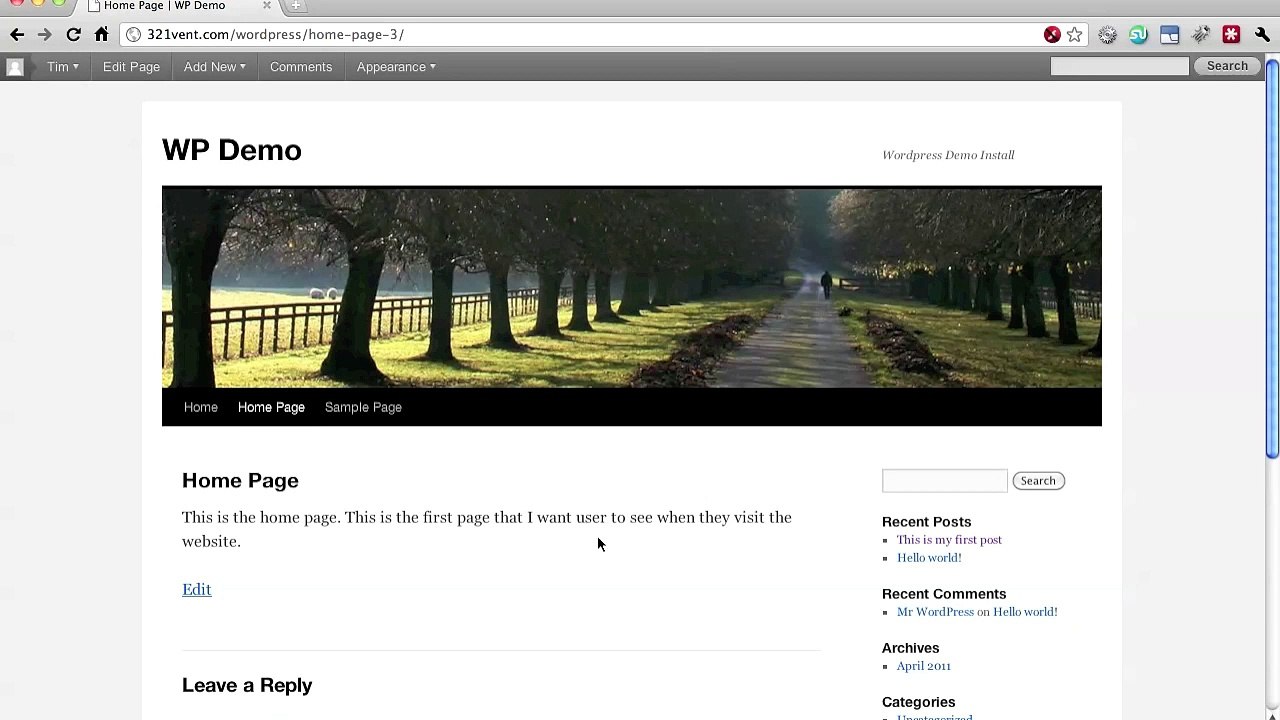 Using Wordpress as a Website