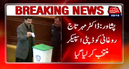 Peshawar: Dr Mehar Taj Roghani elected as Deputy Speaker of KPK Assembly