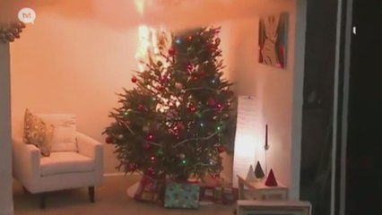 Fêtes de fin d'année : attention aux incendies de sapins