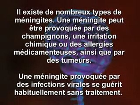 Quatre cas mortels de méningite C, liés à une souche très virulente , rensés dans l'Allier, la Creuse et le Rhône