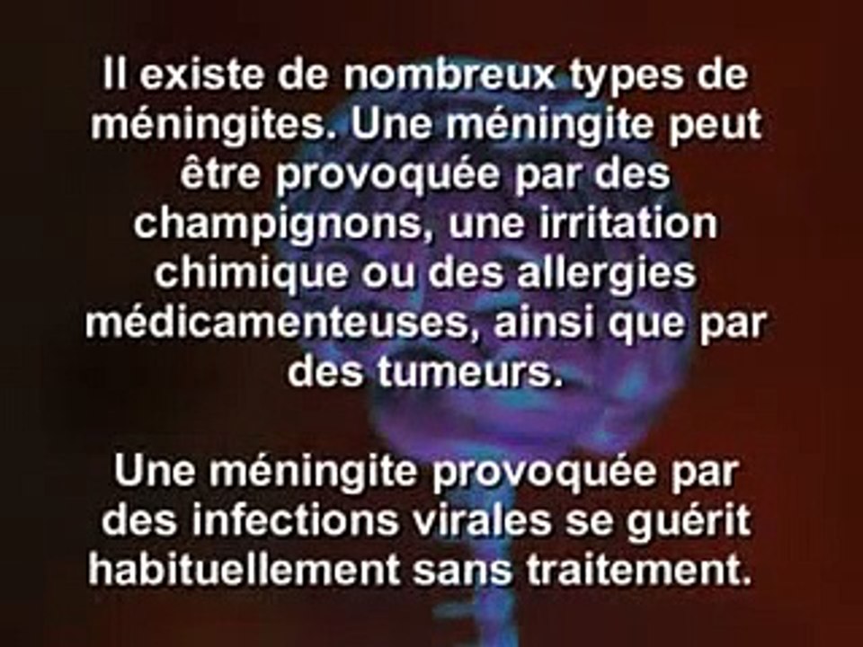 Quatre cas mortels de méningite C, liés à une souche "très virulente", rensés dans l'Allier, la Creuse et le Rhône