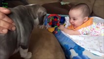 Puppies and Babies Playing Together Compilation 2014 [HD]