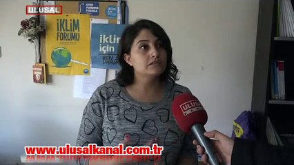 Yüzde 50 oranında arttı! İstanbul'da tehlike sinyali