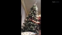 Elle danse avec le sapin de Noël complètement bourrée