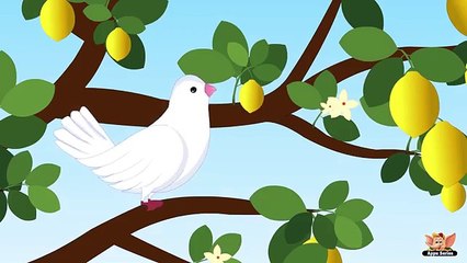 La paloma blanca - Spanish Nursery Rhyme