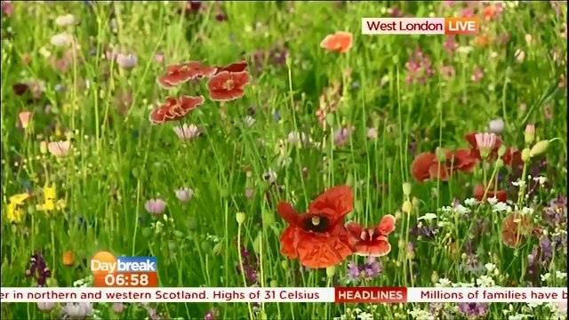 LAURA TOBIN : Eos : Daybreak Weather 18 July 20133 pt2 HEATWAVE